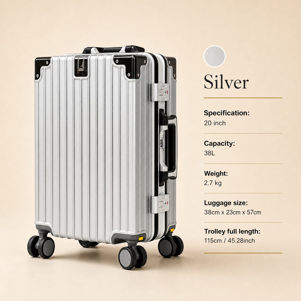 Aluminum Frame Carry On Luggage - 20인치 휴대용 수하물, 항공사 승인, PC